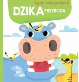 edukamp-3202606101528313580944