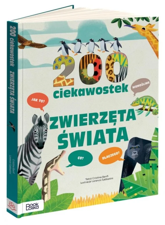 edukamp-3202606101954343622694