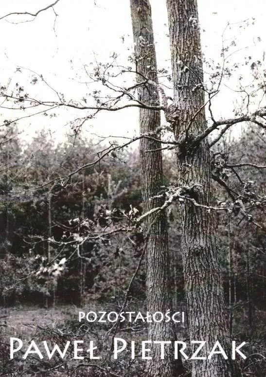 edukamp-3202606110237503647625