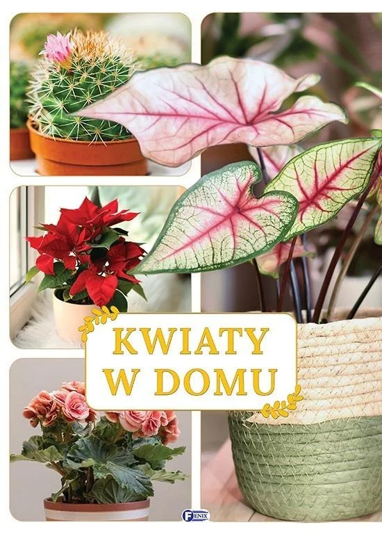 edukamp-3202606110411523653470