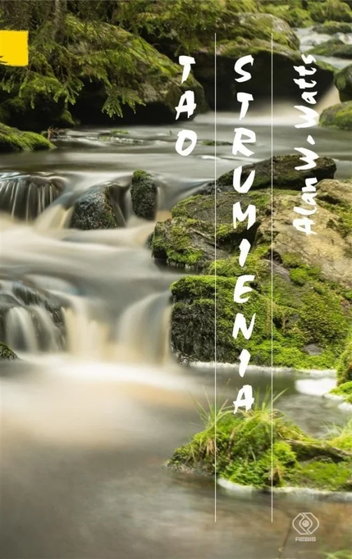 edukamp-3202606110428313654519