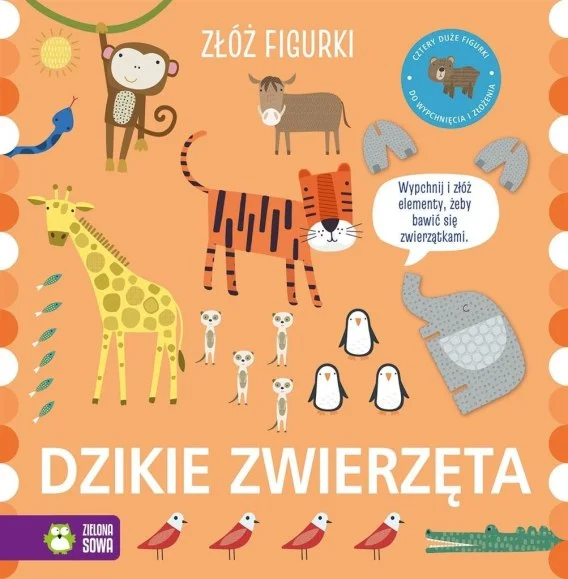 edukamp-3202606111100434882