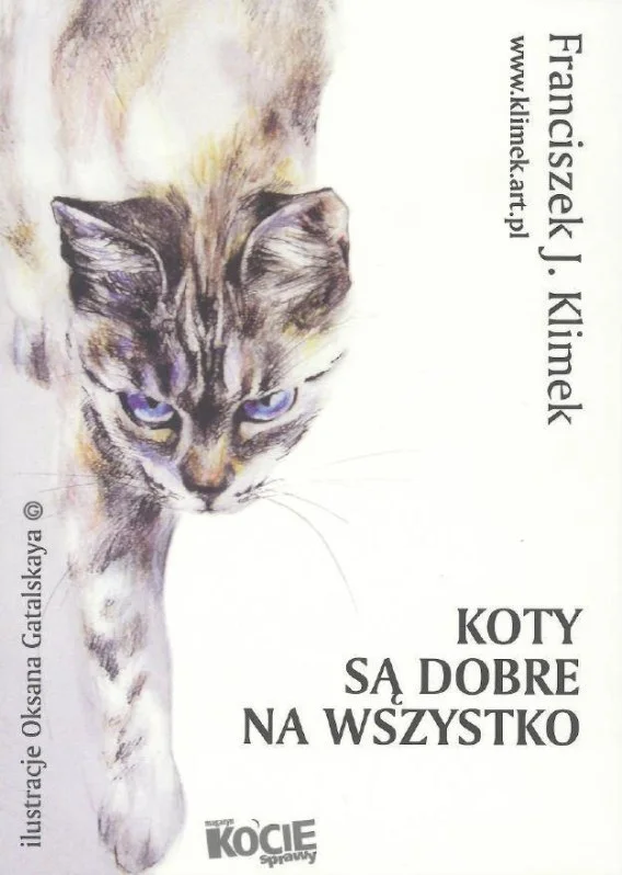 edukamp-32026061117052730116