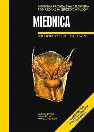 edukamp-32026061119293740568