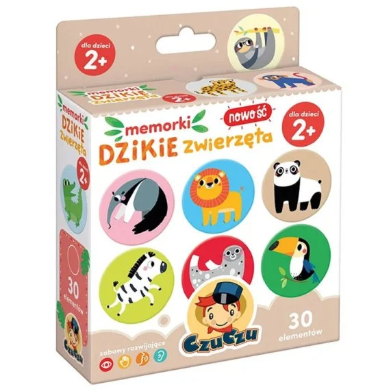 edukamp-32026061200185658665