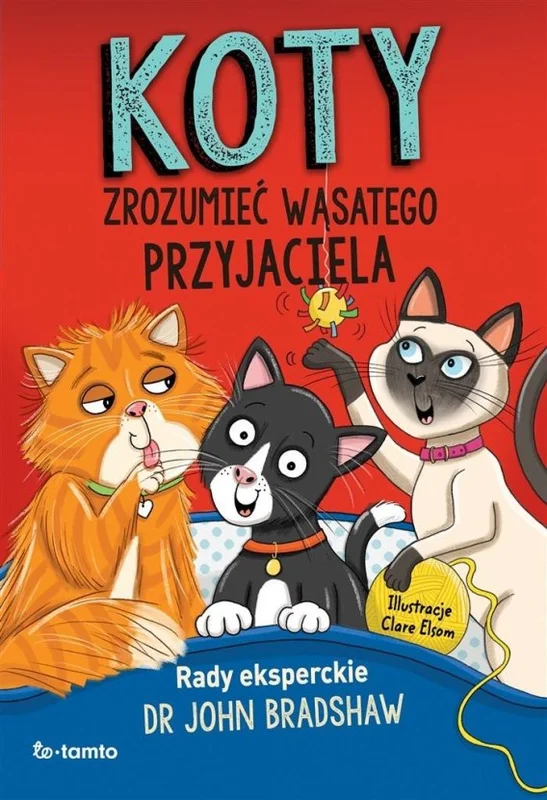 edukamp-32026061202551370114