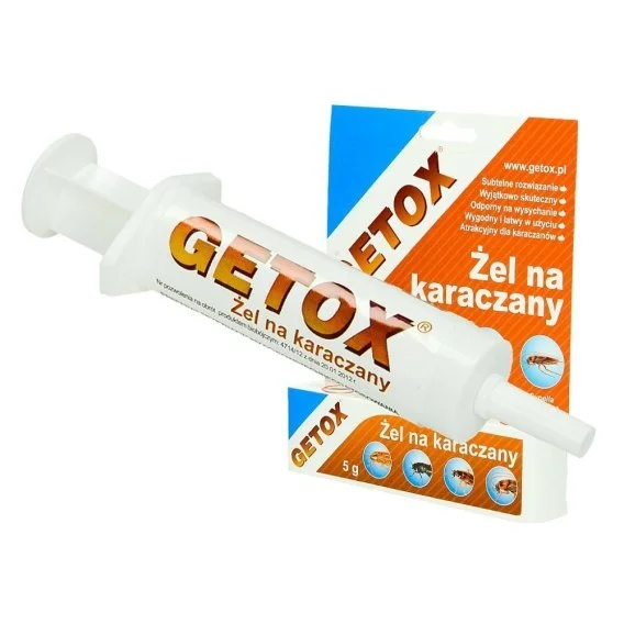 edukamp-32026061203280972406