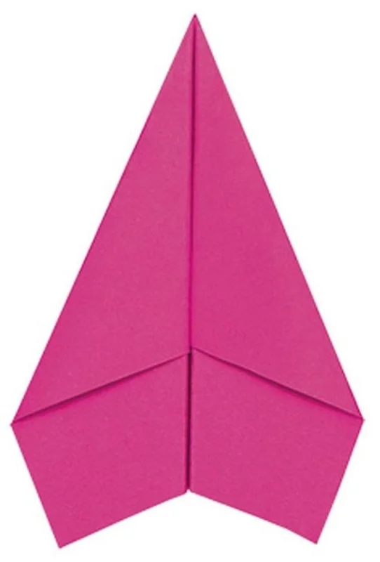 edukamp-32026061204322577085