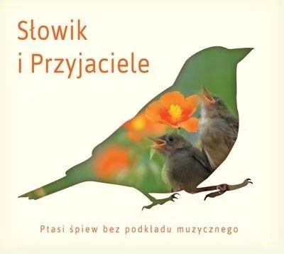 edukamp-32026061206093684017