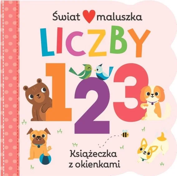 edukamp-320260612163711129854