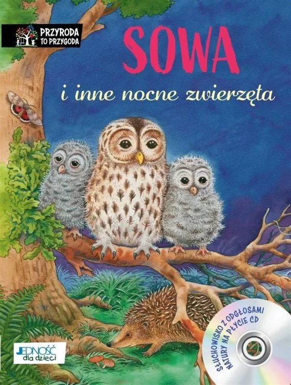 edukamp-320260612191845151230