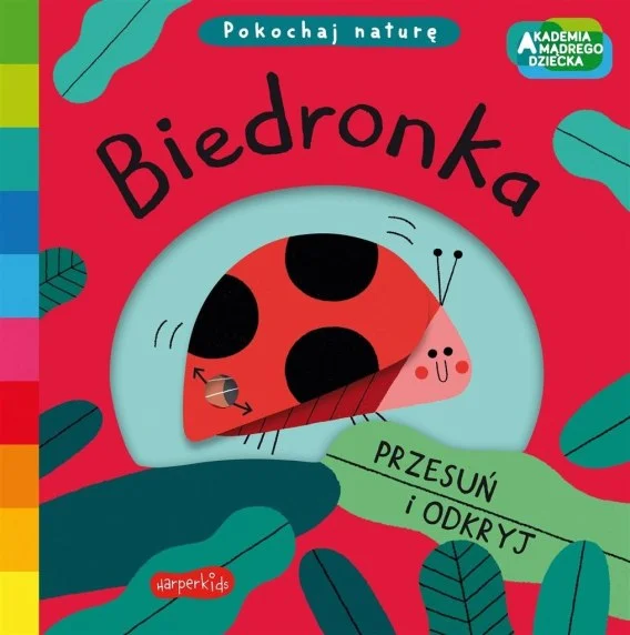 edukamp-320260612194918155378