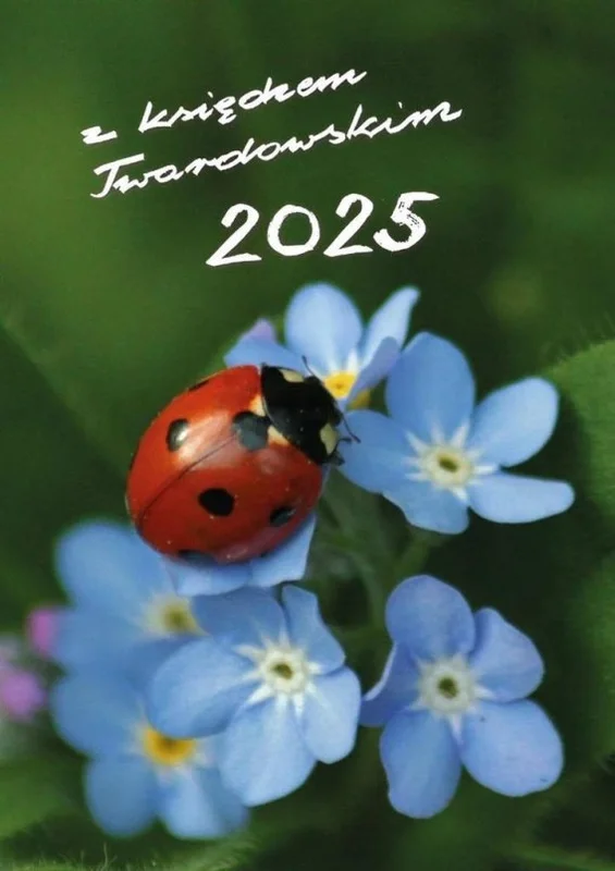 edukamp-320260612222916177478