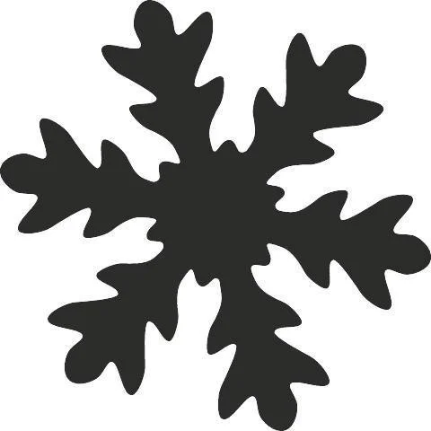 edukamp-320260613025458215669