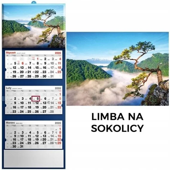 edukamp-320260613033607220067