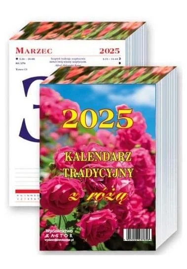 edukamp-320260613055138233396