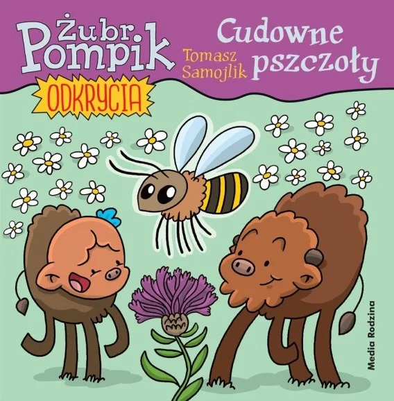 edukamp-4202606101507513577797