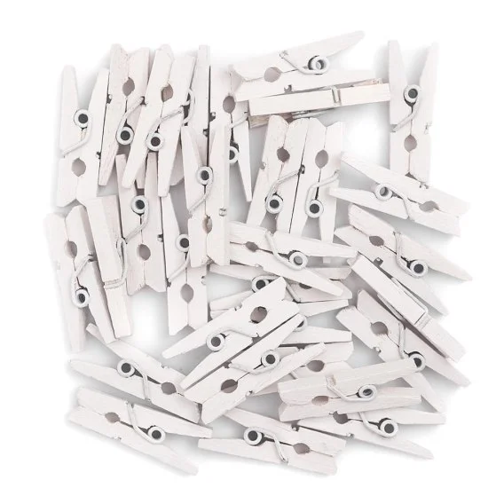 edukamp-4202606101953513622644
