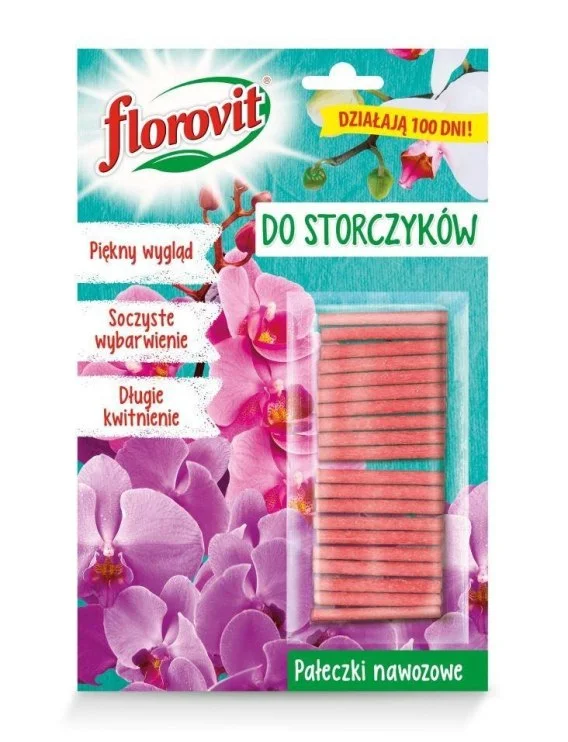 edukamp-4202606102011553623850