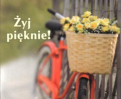 edukamp-4202606102333353636490