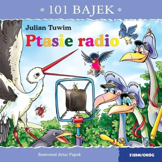 edukamp-4202606110247553648251