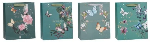 edukamp-4202606110435223654923