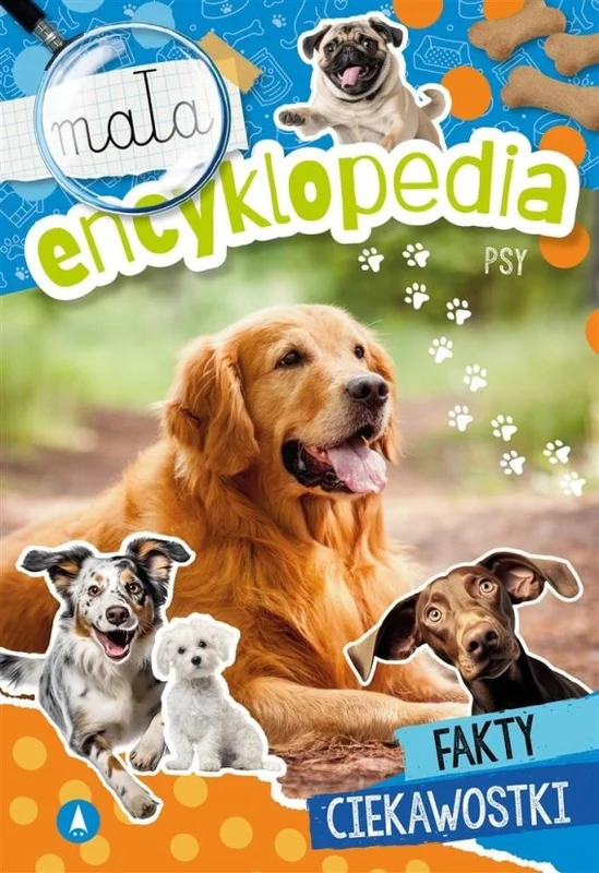edukamp-4202606110817183668484