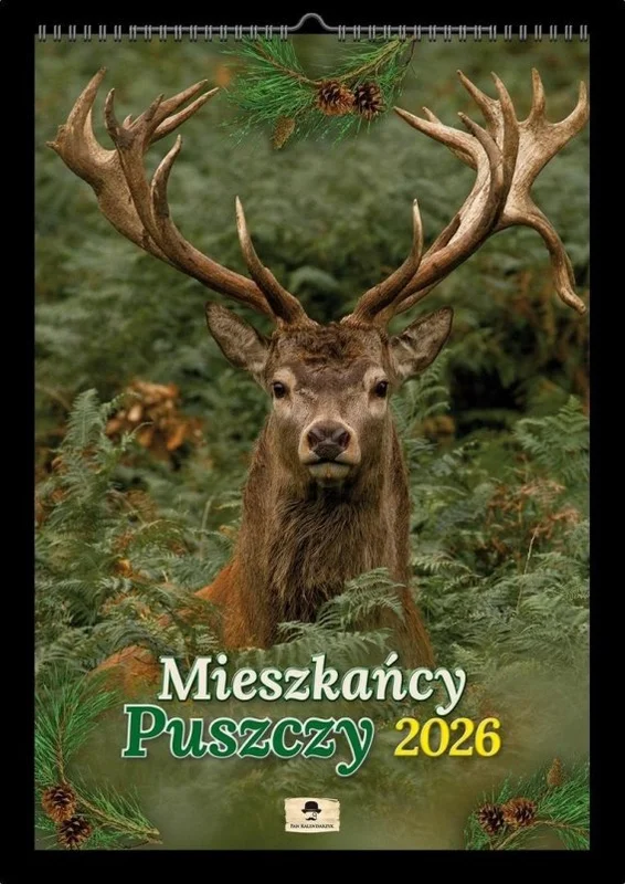 edukamp-42026061202280568176
