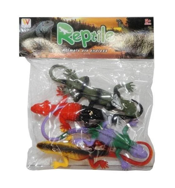 edukamp-42026061203354972951