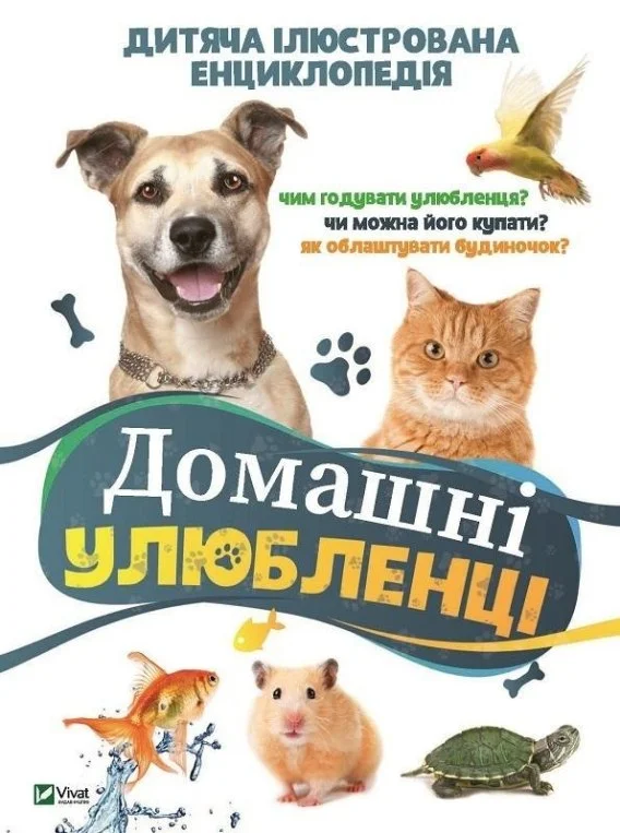 edukamp-42026061204064175227