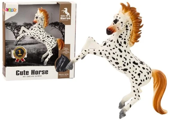 edukamp-42026061204200576185