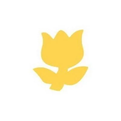 edukamp-42026061204394777603