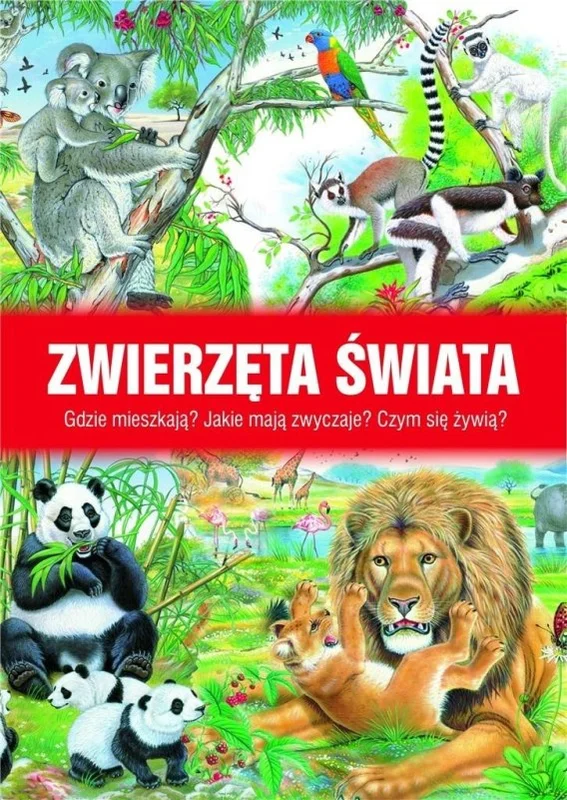 edukamp-42026061205322981473