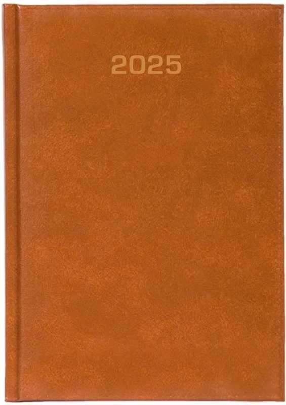 edukamp-42026061205432682296