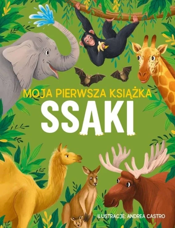 edukamp-42026061207312387543