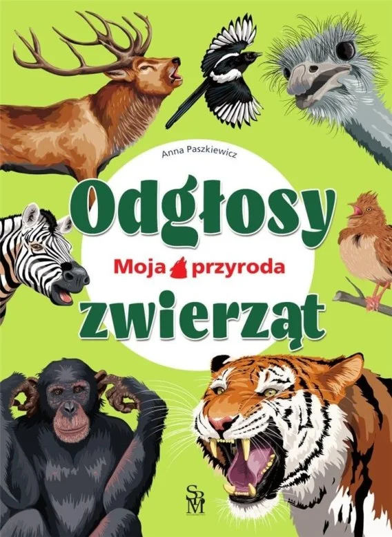 edukamp-42026061209582593986