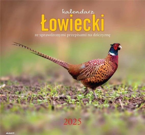 edukamp-420260612105332104471