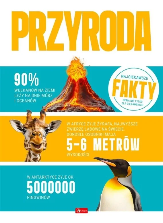 edukamp-420260612111807109556