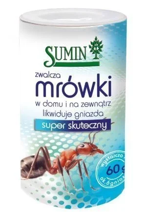 edukamp-420260612131635119845