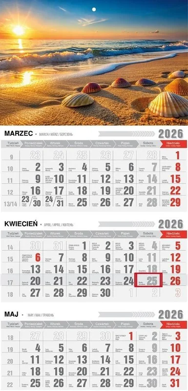 edukamp-420260612185431147541