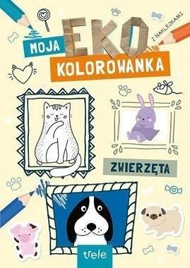 edukamp-420260612230818183911