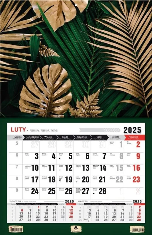 edukamp-420260613010053202605