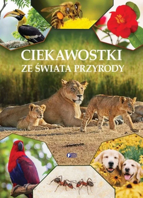 edukamp-420260613020558209959