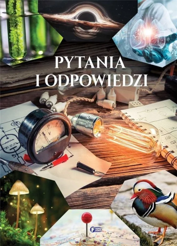 edukamp-420260613020806210189