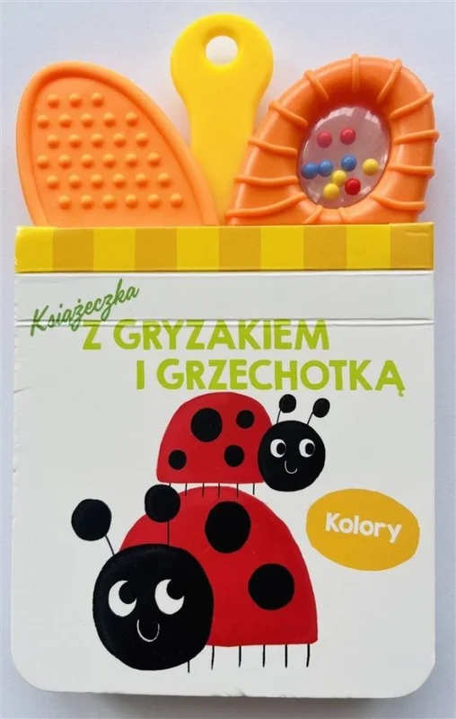 edukamp-420260613022821212692