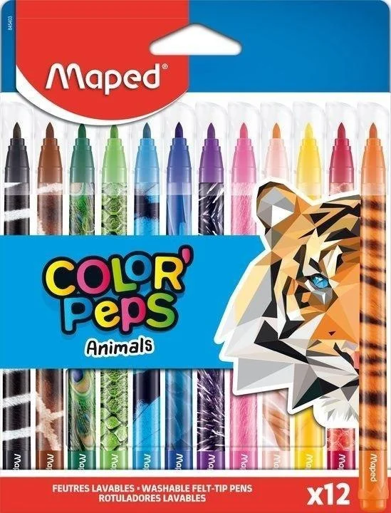edukamp-420260613025340215530