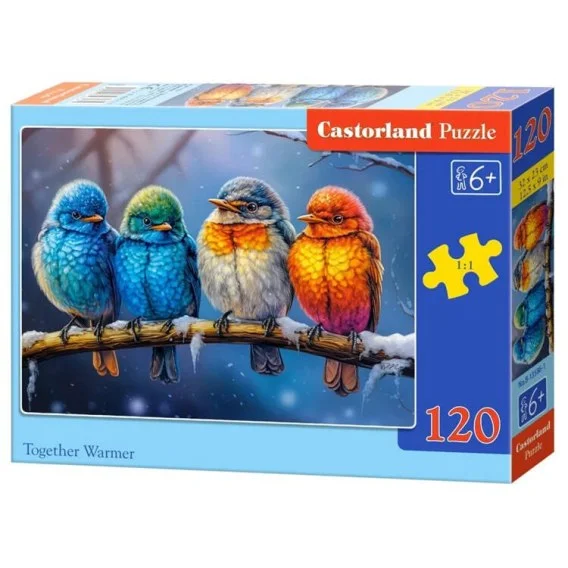 edukamp-420260613040306222866