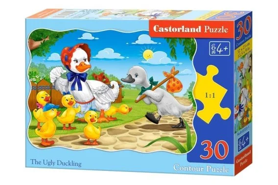 edukamp-420260613043454226224