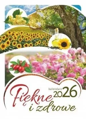 edukamp-420260613051553229981
