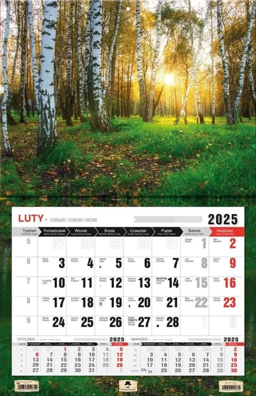 edukamp-420260613072901243350